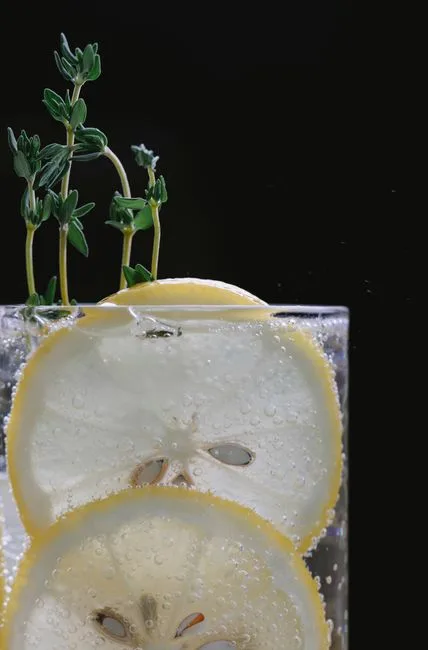 Foto da receita pronta de Botanical Skinny Fizz