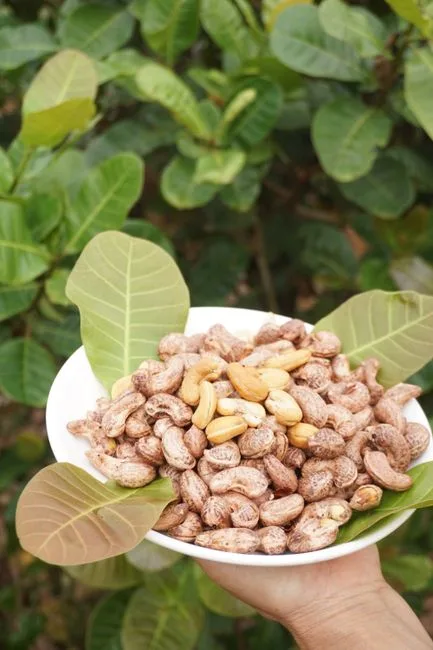 Foto da receita pronta de Caju Amigo Tradicional