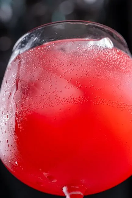 Foto da receita pronta de Cranberry Fizz Sem Álcool