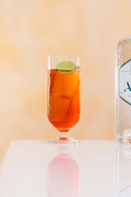 Foto da receita pronta de Elderflower & Hibiscus Spritz