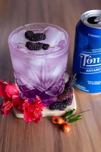 Foto da receita pronta de Gin Tônica com Frutas Vermelhas e Hibisco