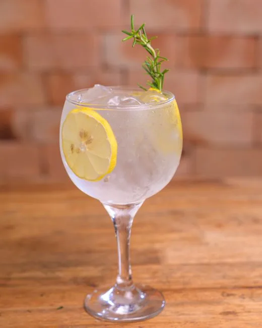 Foto da receita pronta de G&T Botânico Sem Álcool