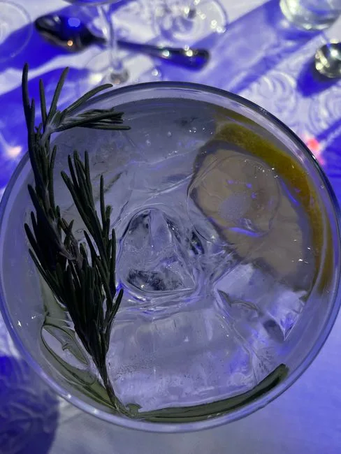 Foto da receita pronta de Mediterranean Gin Tonic