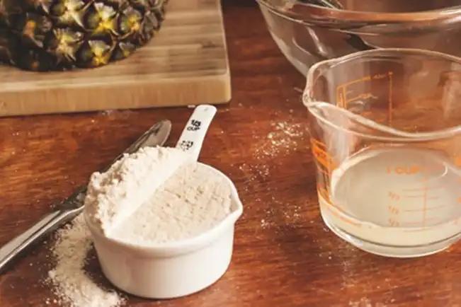 Fermento Natural (Levain)