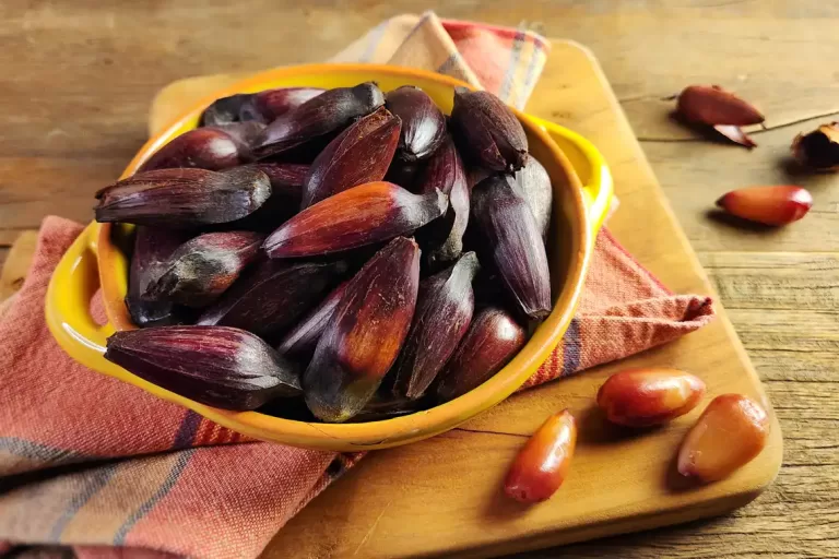 Receita de Pinhão cozido