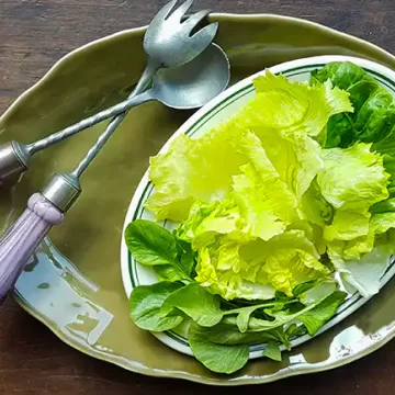 Salada de folhas verdes