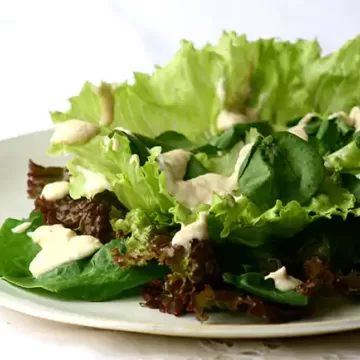 Salada de folhas verdes variadas com molho de salmão