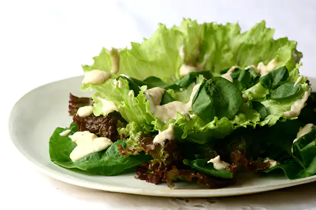 Salada de folhas verdes variadas com molho de salmão