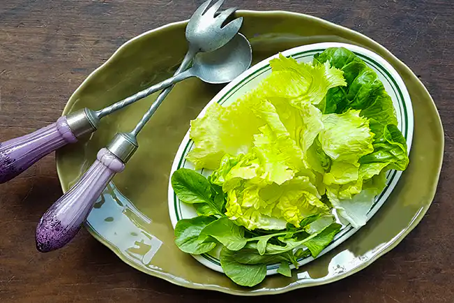 Salada de folhas verdes
