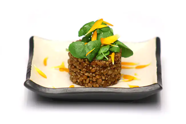 Salada de grãos com miniagrião