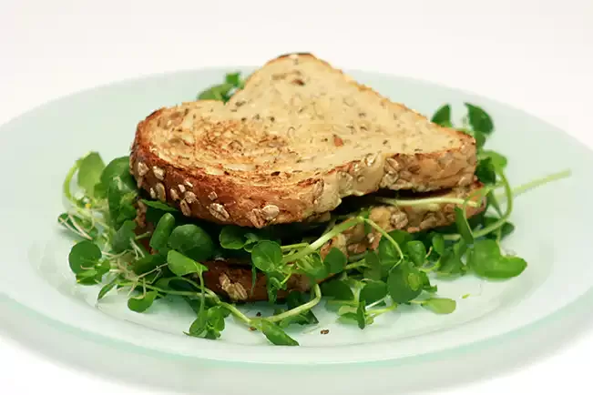 Receita de Sanduíche verde