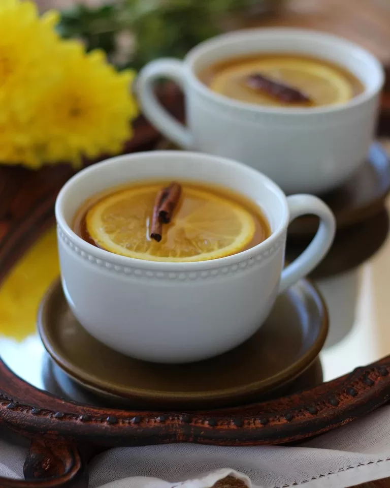 Receita de Chá de frutas e especiarias