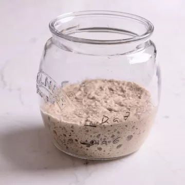 Fermento natural levain