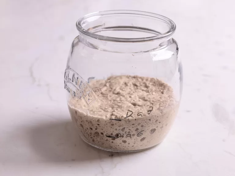 Receita de Fermento natural levain