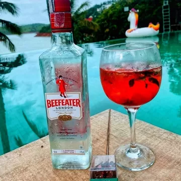 Gin de framboesa com hibisco