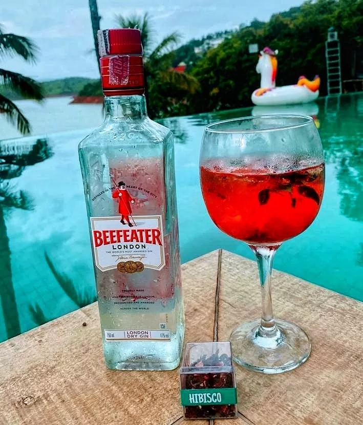 Receita de Gin de framboesa com hibisco