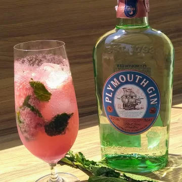 Gin de melancia com hortelã