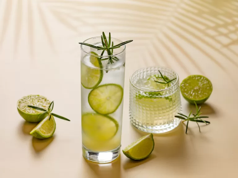 Receita de Gin tônica com limão