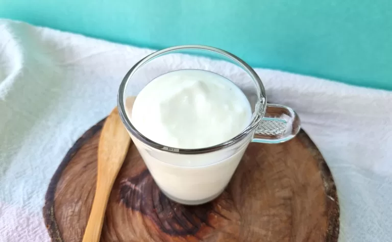 Receita de Iogurte de coco