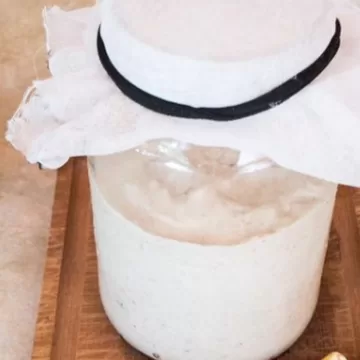 Iogurte vegano