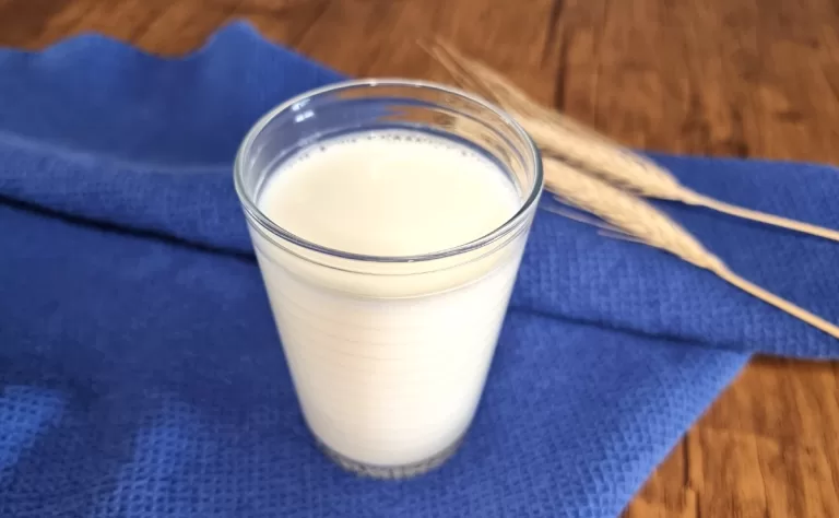 Receita de Leite de soja