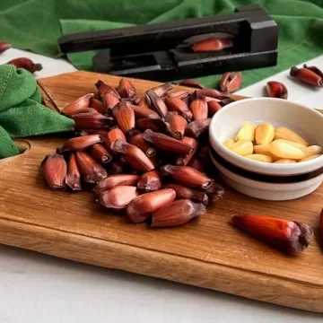 Pinhão na air fryer