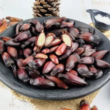 Pinhão na pressão